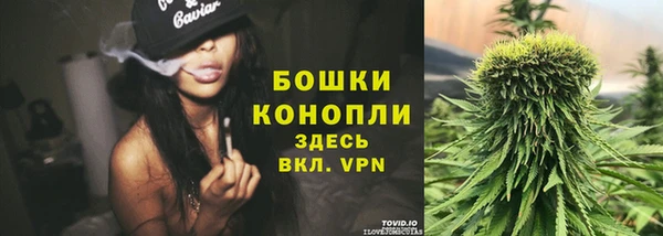 винт Белокуриха